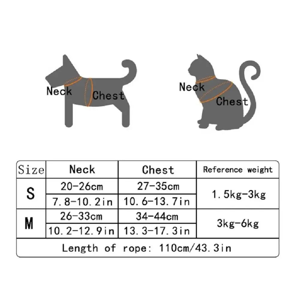 Soft Pet Harness & Leash Set – Breathable, Adjustable & Cuteness Overload